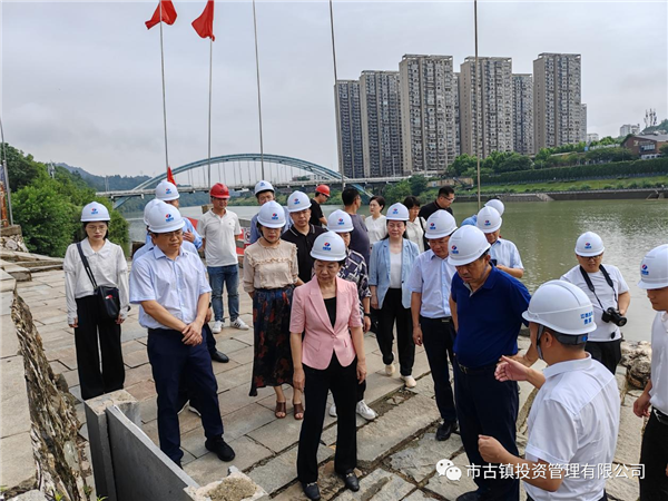 國家文物局調研組到三閭廟調研申報世界文化遺產工作