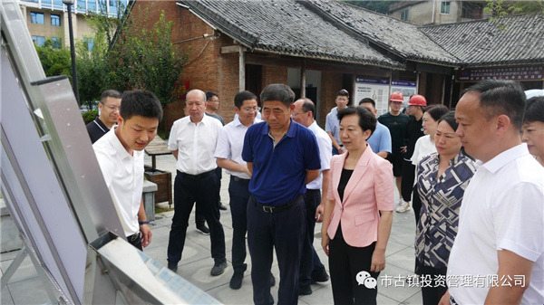 國家文物局調研組到三閭廟調研申報世界文化遺產工作
