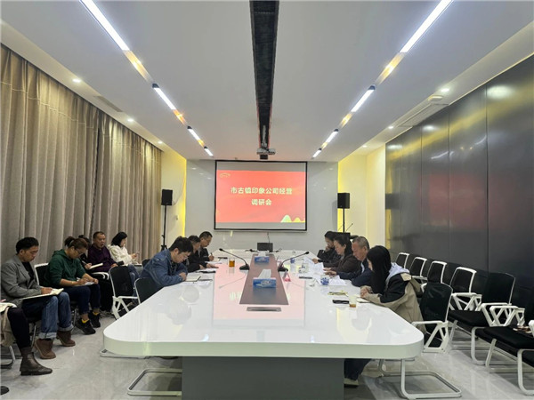 謝瑋專(zhuān)項(xiàng)調(diào)研指導(dǎo)市古鎮(zhèn)印象公司運(yùn)營(yíng)情況